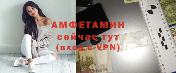 крисы Ельня