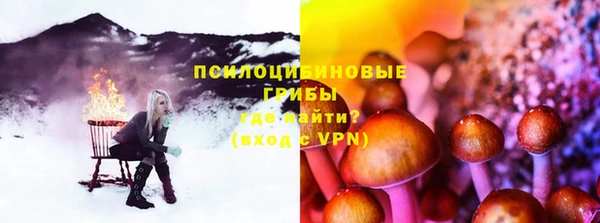 мет Елабуга