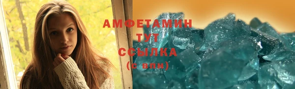 крисы Ельня