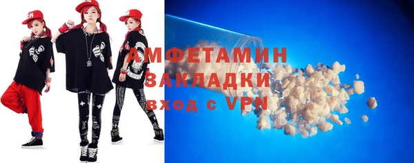 крисы Ельня