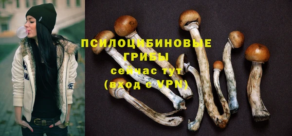 мет Елабуга
