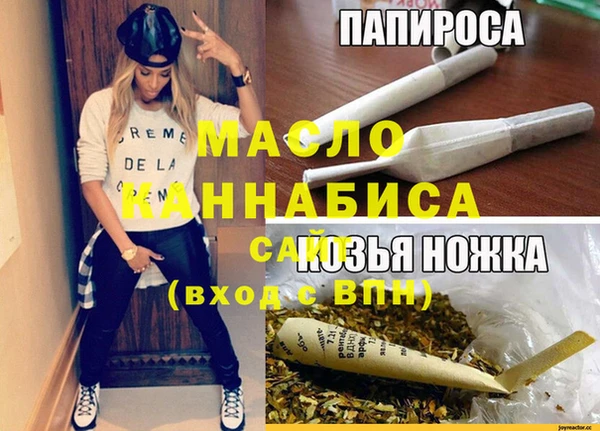 гидра Гусь-Хрустальный