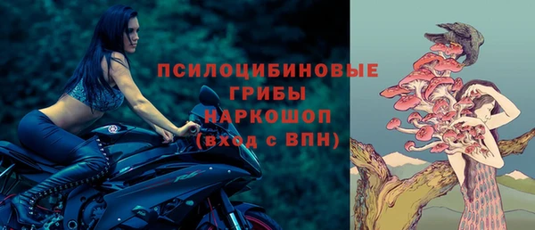 мет Елабуга