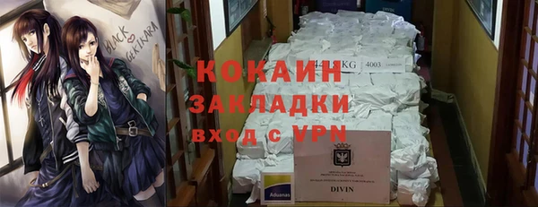 спиды Гусев