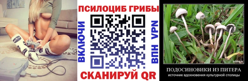 Псилоцибиновые грибы ЛСД  где можно купить   Себеж 